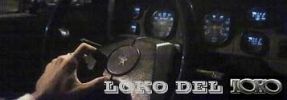 loko_del_toro.jpg