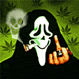 Avatar de Usuario